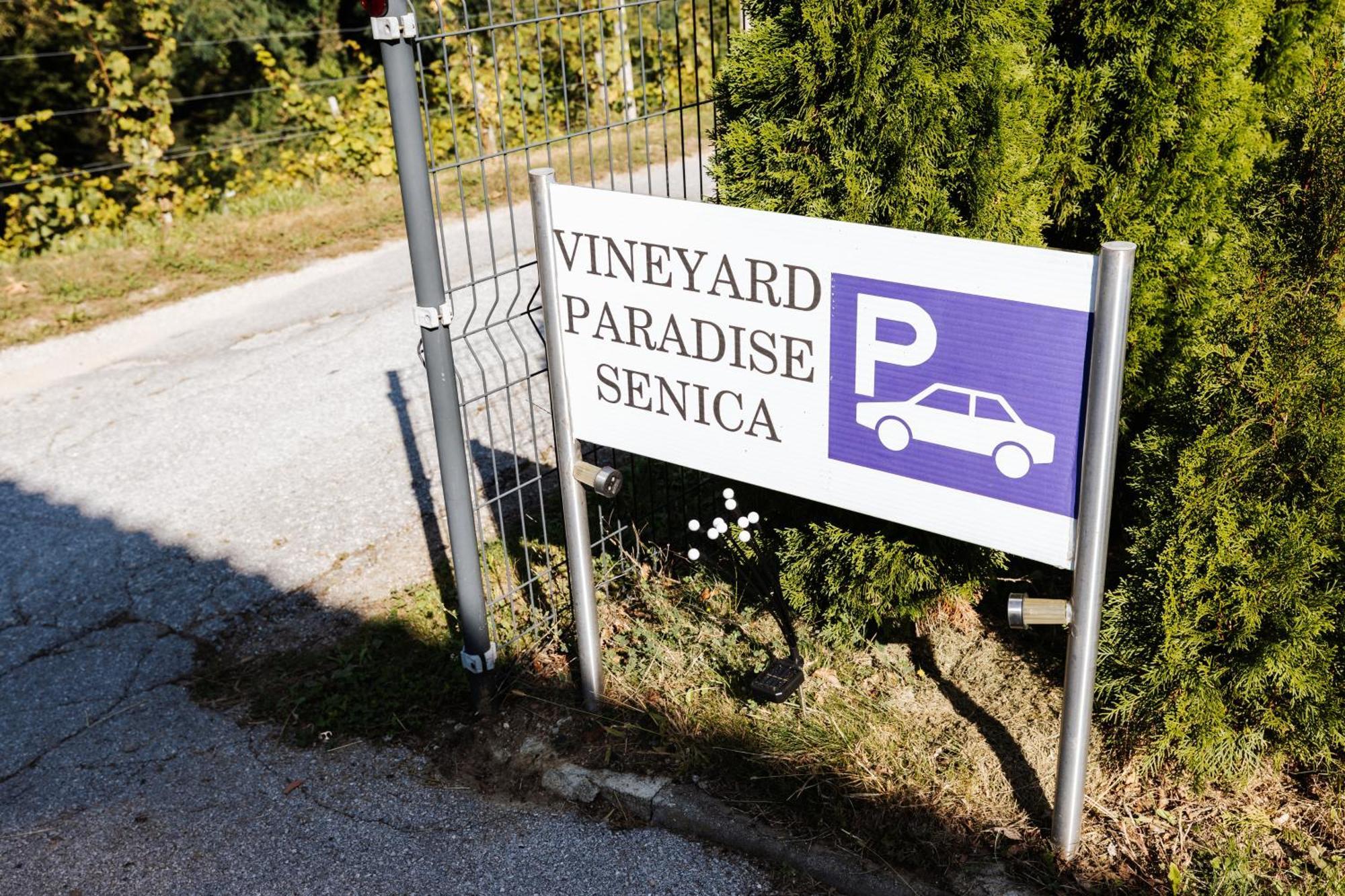 Vineyard Paradise Senica Dramlje Exterior foto